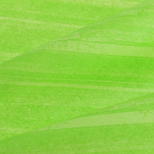 Floristik24 Flower Silk Trendline Verde 50cm 6kg