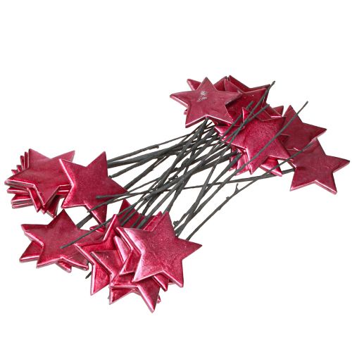 Prodotto Bastoncini di fiori stelle decorazione bacca Ø7cm – 2a scelta – 24 pz