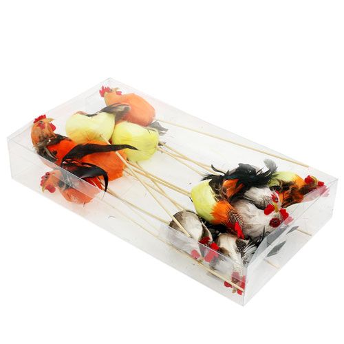 Floristik24 Spina fiore gallo colori assortiti 25cm 12pz
