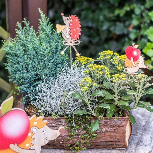 Floristik24 Riccio con bastoncini di fiori, decorazione in legno, figura autunnale H9,5 cm L32 cm 12 pezzi