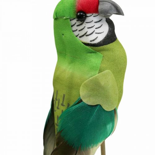 Prodotto Uccello a fiore, verde pappagallo decorativo 23×4,5×5,5 cm 6 pezzi