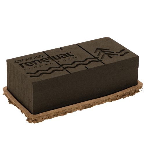 Spugna floreale 1/1 mattone OASIS® Renewal® Spugna floreale Biolit® 24 cm 2 pezzi