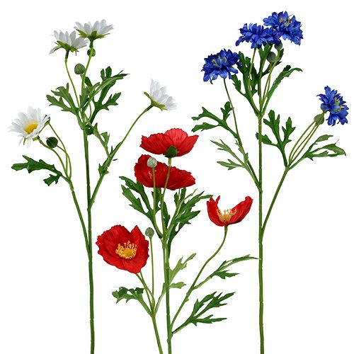Floristik24 Mazzo di fiori di campo 55 cm
