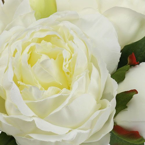 Floristik24 Bouquet di peonie bianche L30cm