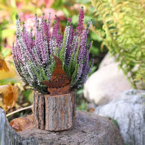 Prodotto Vaso da fiori in corteccia di legno, gnomo ruggine H24cm
