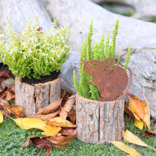 Floristik24 Vaso da fiori in legno con corteccia e ruggine di topo H24cm
