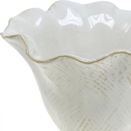 Colore Bianco contemporaneo Ciotola in ceramica fioriera vaso LAMPADINA REGALO ORCHIDEA Home 15cm x 8cm 