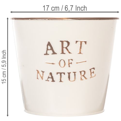 Vaso da fiori in zinco Art of Nature color crema Ø17,5 cm H15 cm | Floristik24.it