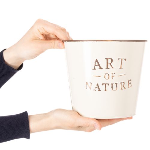 Prodotto Vaso da fiori in zinco Art of Nature color crema Ø17,5 cm H15 cm