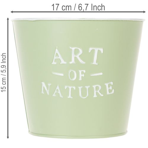 Prodotto Vaso da fiori in zinco Art of Nature verde menta Ø17,5cm H15cm