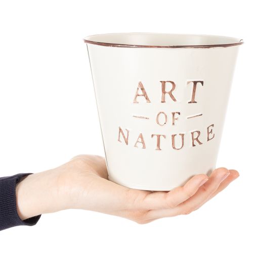 Vaso "Art of Nature" con scritta, decorazione per davanzale e soggiorno, 15 cm, 2 pezzi | Floristik24.it