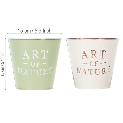 Vaso "Art of Nature" con scritta, decorazione per davanzale e soggiorno, 15 cm, 2 pezzi | Floristik24.it