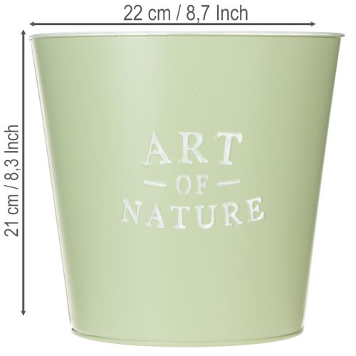 Prodotto Vaso da fiori in zinco, fioriera in metallo, verde menta, Ø22cm, H21cm