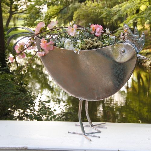 Prodotto Vaso per fiori Pollo Uccello in metallo Rosé metallizzato 51×16×37cm