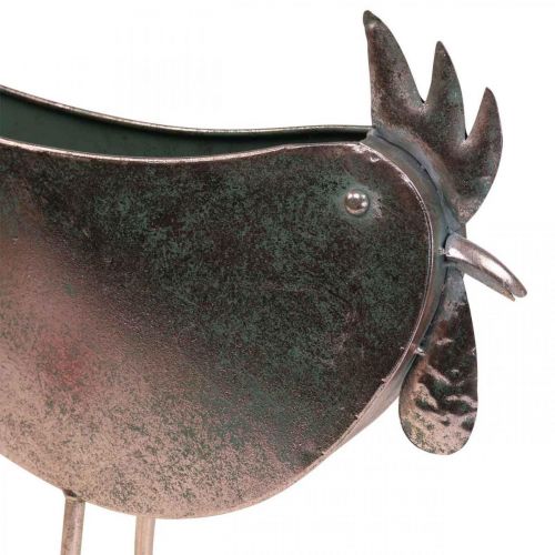Prodotto Vaso per fiori Pollo Uccello in metallo Rosé metallizzato 51×16×37cm