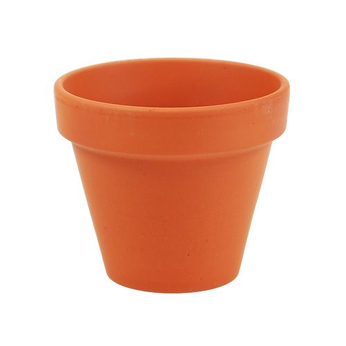 Floristik24 Vaso da fiori in terracotta Ø7cm alto 6cm 10pz