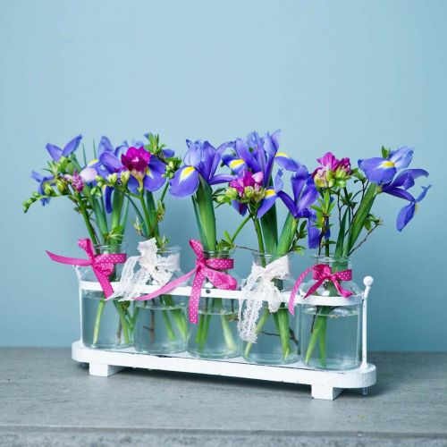 Prodotto Vaso di fiori da farmacia bottiglie da farmacia decorazione in vetro su vassoio 38 cm