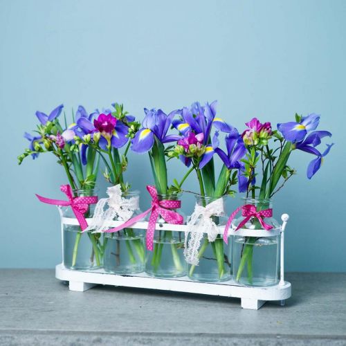 Floristik24 Vaso di fiori da farmacia bottiglie da farmacia decorazione in vetro su vassoio 38 cm