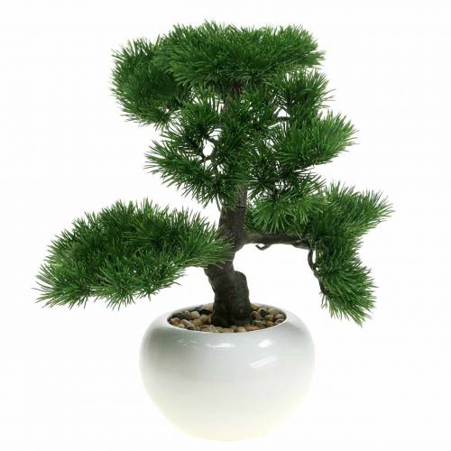 Floristik24 Bonsai in vaso di ceramica pino giapponese artificiale H36cm