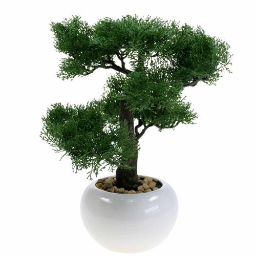 Floristik24 Bonsai di Pino artificiale in vaso H36cm