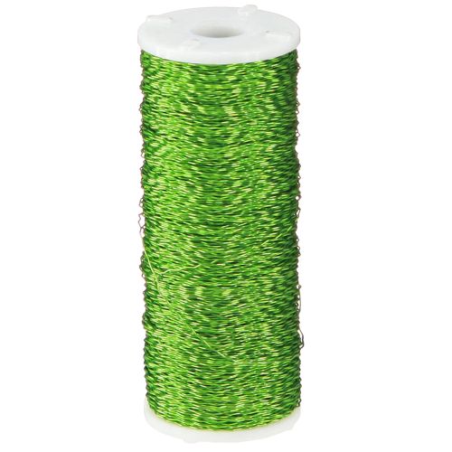 Floristik24 Filo effetto brodo Ø0.30mm 100g 140m verde mela