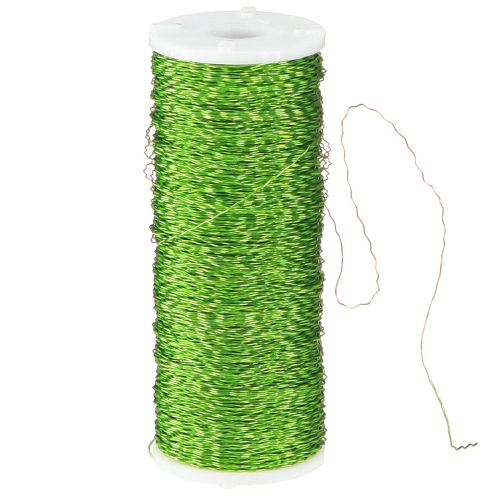 Prodotto Filo effetto brodo Ø0.30mm 100g 140m verde mela