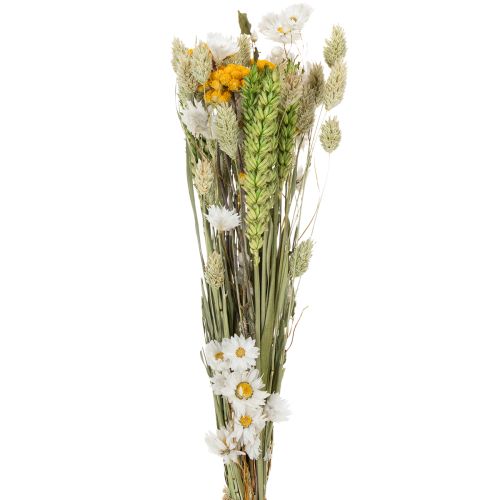 Bouquet di fiori secchi, elegante bouquet di fiori secchi per soggiorno, 50 cm