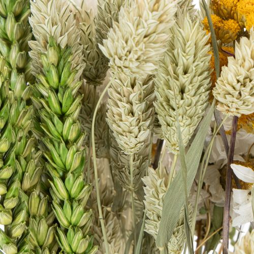 Prodotto Bouquet di fiori secchi, elegante bouquet di fiori secchi per soggiorno, 50 cm