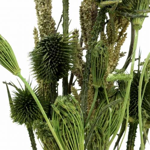 Floristik24 Mazzo di fiori di campo naturale, verde 25–60 cm 70 g