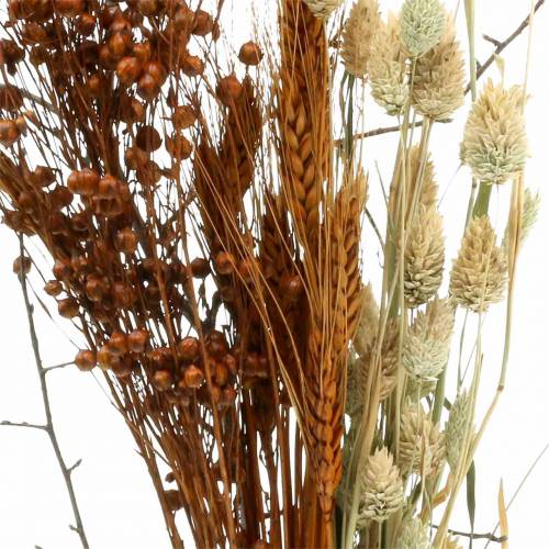 Floristik24 Bouquet di fiori di campo natura, arancione 25–60 cm 65 g