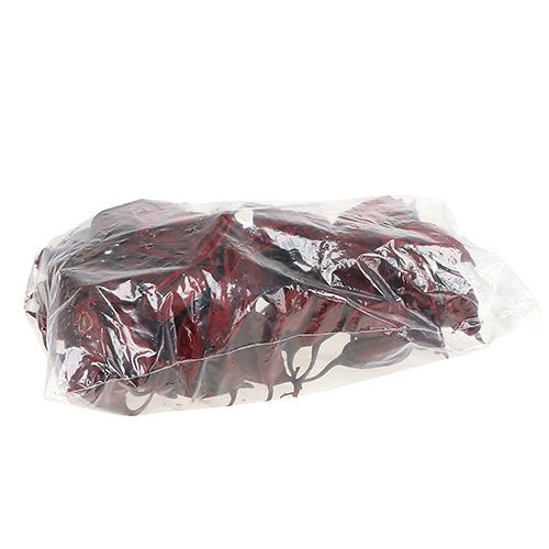 Prodotto Brachicito Rosso 500g