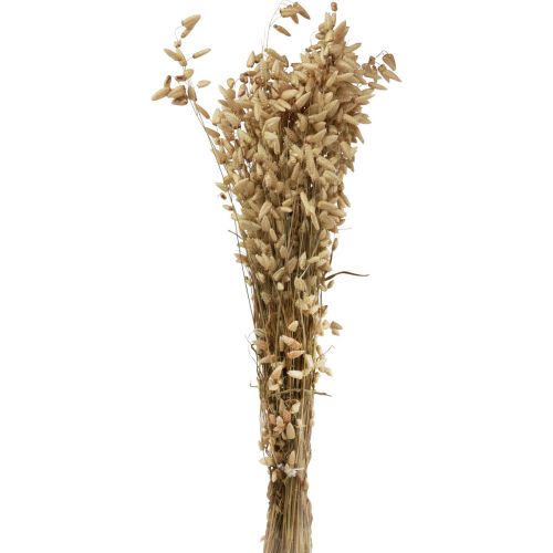 Prodotto Erba tremante di fiori secchi Erba ornamentale naturale Briza 60 cm 100 g