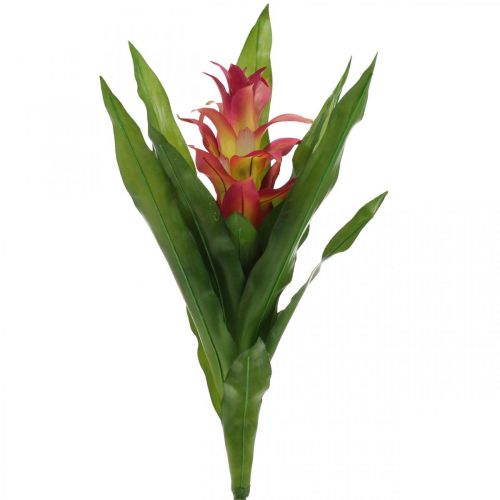 Floristik24 Bromelia artificiale Rosa Fiore artificiale da attaccare 54cm