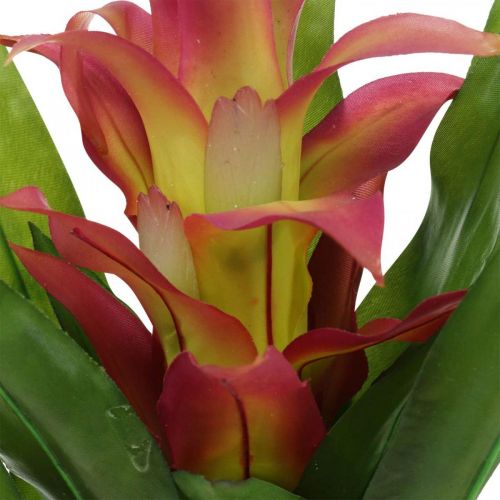Floristik24 Bromelia artificiale Rosa Fiore artificiale da attaccare 54cm