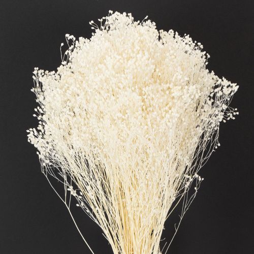 Prodotto Broom Bloom Fiori secchi sbiancati bianchi a lunga conservazione 100 g