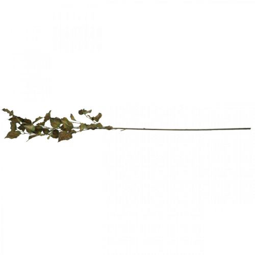 Floristik24 Ramo decorativo faggio artificiale ramo di faggio ramo d&#39;autunno deco 115cm