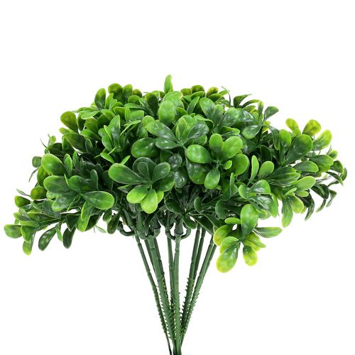 Floristik24 Ramo di bosso verde L20cm 12 pezzi