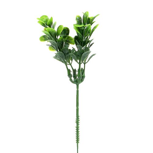 Floristik24 Ramo di bosso verde L20cm 12 pezzi