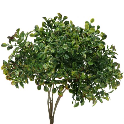 Ramo di bosso verde 27 cm