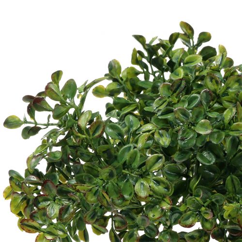Floristik24 Ramo di bosso verde 27 cm
