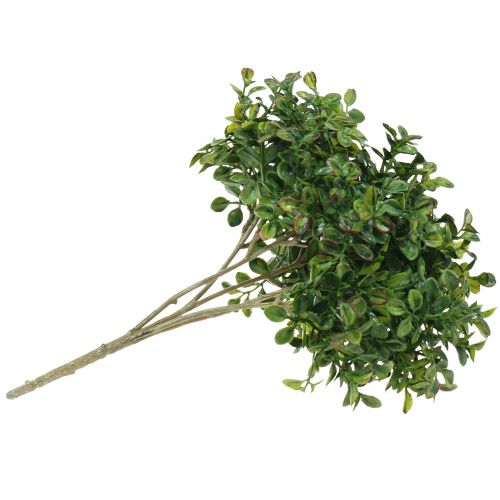 Floristik24 Ramo di bosso verde 27 cm