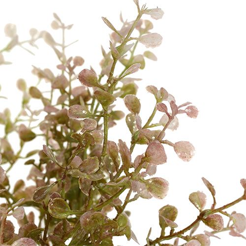 Floristik24 Ramo di bosso rosa, rosa con mica 32cm