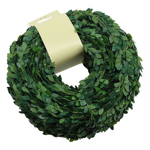 Floristik24 Scatola ghirlanda verde 15m