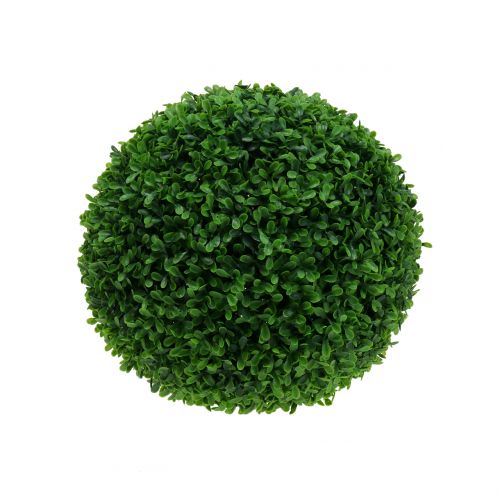 Floristik24 Palla di bosso verde Ø20cm