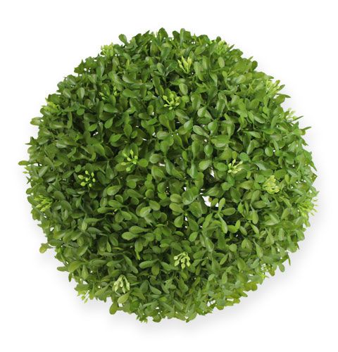 Floristik24 Scatola palla Ø25cm