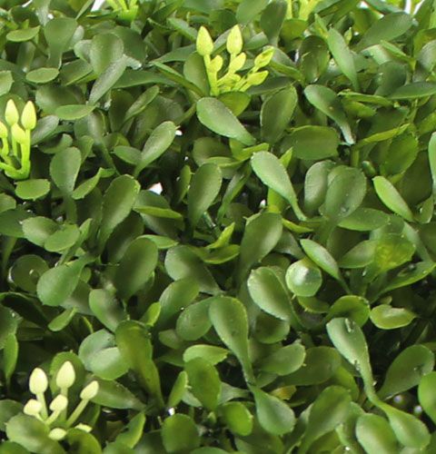 Floristik24 Scatola palla Ø25cm