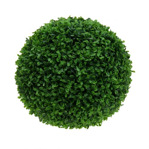 Floristik24 Palla di bosso verde Ø30cm