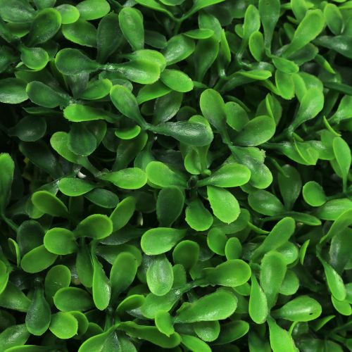 Prodotto Palla di bosso verde Ø30cm