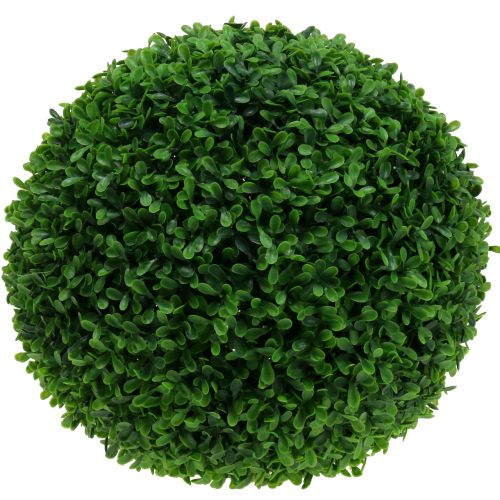 Floristik24 Palla di bosso verde Ø55cm