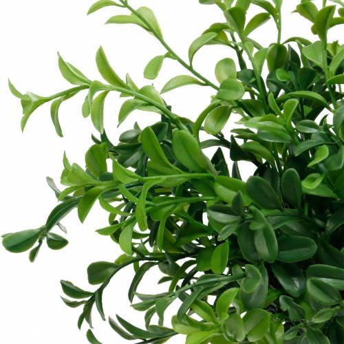 Floristik24 Rami di bosso su pick pianta verde artificiale 6 pz